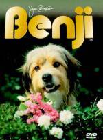 The photo image of Benji. Down load movies of the actor Benji. Enjoy the super quality of films where Benji starred in.