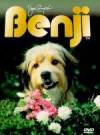 The photo image of Benji, starring in the movie "Oh Heavenly Dog"