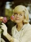 The photo image of Doris Day, starring in the movie "The Ballad of Josie"