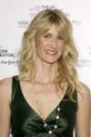 The photo image of Laura Dern, starring in the movie "Year of the Dog"