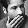 The photo image of David Duchovny, starring in the movie "Things We Lost in the Fire"