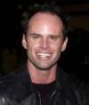 The photo image of Walton Goggins, starring in the movie "Winged Creatures"