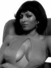 The photo image of Pam Grier, starring in the movie "Above the Law"