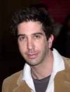 The photo image of David Schwimmer, starring in the movie "Madagascar"