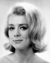 The photo image of Inger Stevens, starring in the movie "Madigan"
