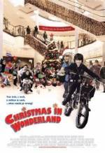 Get and daunload family genre muvy trailer «Christmas in Wonderland» at a small price on a high speed. Leave your review on «Christmas in Wonderland» movie or find some other reviews of another ones.