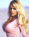 The photo image of Pamela Anderson, starring in the movie "Costa Rican Summer"