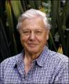 The photo image of David Attenborough, starring in the movie "Deep Blue"