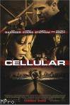 The photo image of Will Beinbrinck, starring in the movie "Cellular"