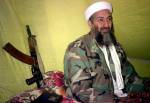 The photo image of Osama Bin Laden. Down load movies of the actor Osama Bin Laden. Enjoy the super quality of films where Osama Bin Laden starred in.