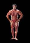 The photo image of Franco Columbu, starring in the movie "The Terminator"