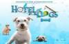 The photo image of Georgie Del Junco, starring in the movie "Hotel for Dogs"