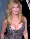 The photo image of Morgan Fairchild, starring in the movie "Shock to the System"