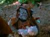 The photo image of Pam Grizz, starring in the movie "The Ewok Adventure"
