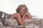 The photo image of Catherine Hicks. Down load movies of the actor Catherine Hicks. Enjoy the super quality of films where Catherine Hicks starred in.
