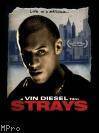 The photo image of Joey Iovino, starring in the movie "Strays"