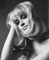 The photo image of Suzy Kendall, starring in the movie "The Bird with the Crystal Plumage"