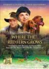 The photo image of Lindsey Labadie, starring in the movie "Where the Red Fern Grows"