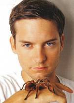The photo image of Tobey Maguire. Down load movies of the actor Tobey Maguire. Enjoy the super quality of films where Tobey Maguire starred in.