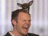 The photo image of Joel McHale, starring in the movie "Open Season 2"