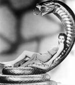 The photo image of Maria Montez. Down load movies of the actor Maria Montez. Enjoy the super quality of films where Maria Montez starred in.