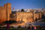 The photo image of Morocco. Down load movies of the actor Morocco. Enjoy the super quality of films where Morocco starred in.