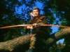 The photo image of Herbert Mundin, starring in the movie "The Adventures of Robin Hood"