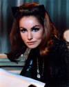 The photo image of Julie Newmar, starring in the movie "Seven Brides for Seven Brothers"
