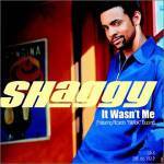 The photo image of Shaggy. Down load movies of the actor Shaggy. Enjoy the super quality of films where Shaggy starred in.