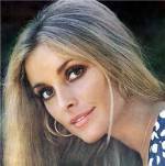 The photo image of Sharon Tate. Down load movies of the actor Sharon Tate. Enjoy the super quality of films where Sharon Tate starred in.