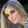 The photo image of Sharon Tate, starring in the movie "The Fearless Vampire Killers"