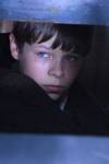 The photo image of Toby Wallace, starring in the movie "Lucky Country"