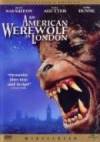 Purchase and daunload horror genre movie «American Werewolf in London, An» at a little price on a fast speed. Write interesting review about «American Werewolf in London, An» movie or find some other reviews of another persons.