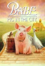 Buy and download fantasy genre movy trailer «Babe: Pig in the City» at a low price on a superior speed. Write interesting review on «Babe: Pig in the City» movie or read picturesque reviews of another fellows.