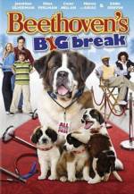 Purchase and download family-genre movy «Beethoven's Big Break» at a cheep price on a super high speed. Add your review about «Beethoven's Big Break» movie or read fine reviews of another persons.
