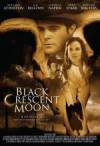 Buy and download thriller genre movy trailer «Black Crescent Moon aka bgFATLdy» at a tiny price on a high speed. Write your review on «Black Crescent Moon aka bgFATLdy» movie or find some amazing reviews of another fellows.