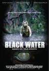 Purchase and daunload thriller theme muvy «Black Water» at a cheep price on a super high speed. Add your review on «Black Water» movie or find some other reviews of another persons.