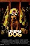 Purchase and dwnload action-theme muvi trailer «Firehouse Dog» at a little price on a best speed. Add some review on «Firehouse Dog» movie or find some picturesque reviews of another fellows.
