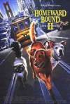 Get and download adventure-theme movie trailer «Homeward Bound II: Lost in San Francisco» at a small price on a super high speed. Write some review about «Homeward Bound II: Lost in San Francisco» movie or read thrilling reviews of