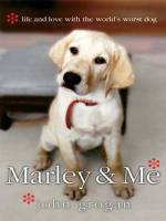 Purchase and dawnload comedy theme muvi «Marley & Me» at a little price on a super high speed. Add some review about «Marley & Me» movie or find some picturesque reviews of another people.