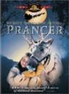 Get and daunload drama-genre muvy «Prancer» at a small price on a super high speed. Place your review on «Prancer» movie or find some thrilling reviews of another visitors.