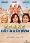 Get and dwnload comedy-theme movie «Spring Breakdown» at a low price on a fast speed. Write interesting review about «Spring Breakdown» movie or read amazing reviews of another persons.