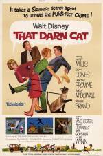 Get and dwnload thriller genre movy «That Darn Cat!» at a cheep price on a super high speed. Place your review on «That Darn Cat!» movie or read picturesque reviews of another people.