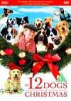 Buy and dawnload family-theme movie trailer «The 12 Dogs of Christmas» at a cheep price on a super high speed. Put some review about «The 12 Dogs of Christmas» movie or read amazing reviews of another people.