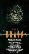 Purchase and dwnload horror-theme muvi «The Brain» at a cheep price on a best speed. Add interesting review about «The Brain» movie or read other reviews of another ones.