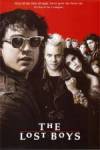Purchase and dwnload horror theme movy trailer «The Lost Boys» at a low price on a fast speed. Place interesting review on «The Lost Boys» movie or read other reviews of another persons.