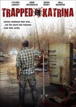 Purchase and download thriller-genre muvy «Trapped in Katrina» at a cheep price on a superior speed. Add interesting review about «Trapped in Katrina» movie or read thrilling reviews of another buddies.