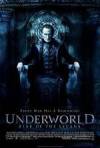Buy and dwnload horror-genre muvy trailer «Underworld: Rise of the Lycans» at a tiny price on a super high speed. Put some review about «Underworld: Rise of the Lycans» movie or read amazing reviews of another people.