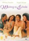 Buy and daunload comedy-theme muvy «Waiting to Exhale» at a little price on a super high speed. Put interesting review on «Waiting to Exhale» movie or read picturesque reviews of another people.
